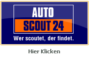 bei Autoscout24.de